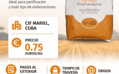 Harina Media Fuerza V20